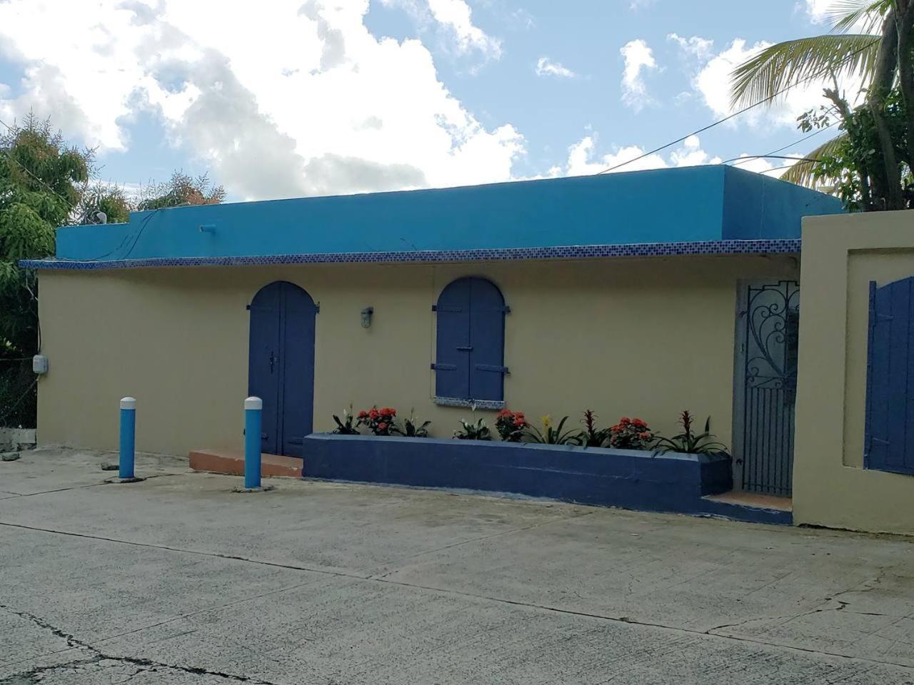 Little Indigo Apartments Mafolie Luaran gambar